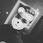 Profile Picture of Joseph Schatz (@niglo37800) on Instagram