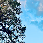 Steven Lanza Uwu - Youtube Profile Picture of Steven Lanza Uwu (@StevenLanza-t9t) on Youtube