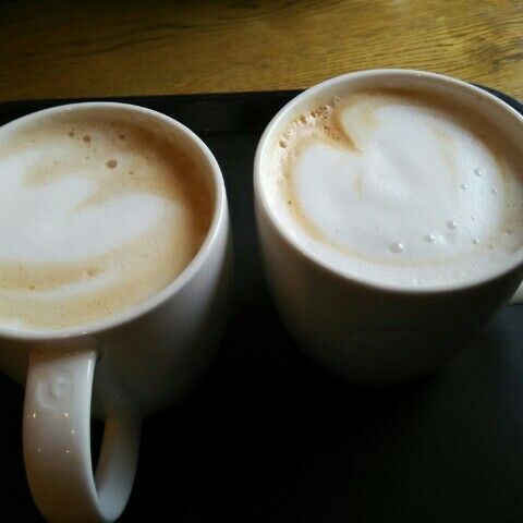 rinkwilliam - Tiktok Profile Picture of rinkwilliam (@rinkwilliam) on Tiktok