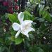 Profile Picture of Jacqueline Martinez (@jacqueline.martinez.37625) on Facebook