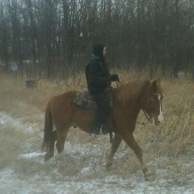 Profile Picture of Tara Pfeiffer (@TaraPfeif) on Twitter