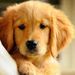 Profile Picture of AARON NICKELS (@aaronn0665) on Pinterest