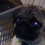 Profile Picture of Lise Lambert (@liselambert535) on Youtube