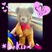 Profile Picture of Ian Baer (@ned.hero.710) on Facebook