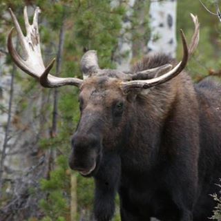 Profile Picture of Jason Moose (@jason.moose.712) on Facebook