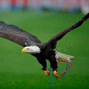 Profile Picture of Sam Heath (@samheath886) on Youtube