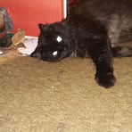 Profile Picture of Frank Michienzi (@frank.michienzi.18) on Facebook