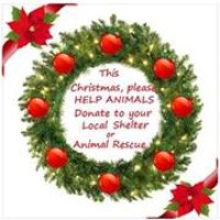 Profile Picture of Randy Bosley (@randy-bosley) on Quora