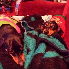 Profile Picture of Bryan Root (@Root77Root) on Twitter