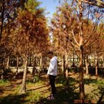 Profile Picture of 博丞 蔡 (@paul___tsai) on Instagram