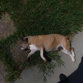 Profile Picture of Brandon Neaveill (@bneaveill63) on Pinterest