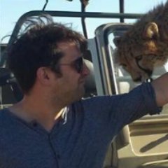 Profile Picture of Sam Webb (@SamWebbwriter) on Twitter