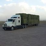 Profile Picture of Abram Wall (@wall2681) on Instagram