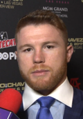 Profile Picture of Canelo Álvarez - Wikipediaon Wikipedia