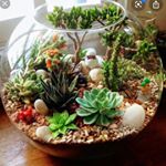 آقای گل - Instagram Profile Picture of آقای گل (@greenland.tehran) on Instagram