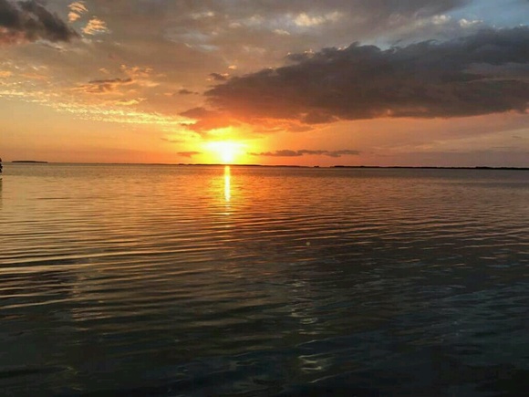 Profile Picture of Debby Scheitler (@debsbythesea01) on Poshmark