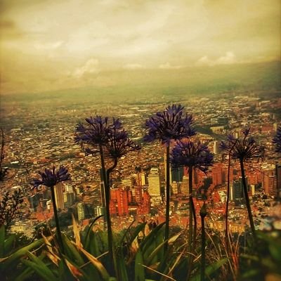 Profile Picture of Santiago U (@davideis2) on Twitter