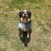 Profile Picture of Kyle Rohan (@northwesttitan13) on Youtube