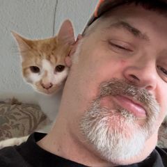 Profile Picture of jodyhalstead (@jodyhalstead) on Tiktok