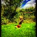 Profile Picture of Sonia Larsen (@sonia.larsen.1) on Facebook