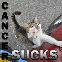 Lori Sorrels - Quora Profile Picture of Lori Sorrels (@lori-sorrels-1) on Quora