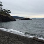 Carly Campos - Instagram Profile Picture of Carly Campos (@sweetpeacarly) on Instagram