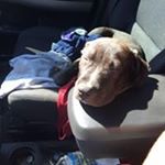 Profile Picture of Jonathan Bonadies (@jonathanbonadies) on Instagram