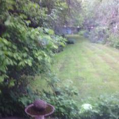 Bernard Jacobs - Twitter Profile Picture of Bernard Jacobs (@BernardJacobs12) on Twitter