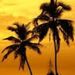 Profile Picture of Matthew Speer (@mjspeer98) on Pinterest