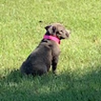 Profile Picture of Isaac Jacobo (@isaac-jacobo-5) on Quora