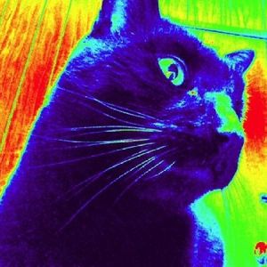 Profile Picture of Joanna Hafner (@395987894) on Myspace