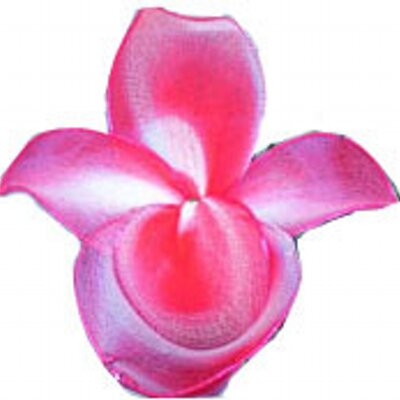 Profile Picture of Kenneth Kok (@kenkoksg) on Twitter