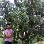 Profile Picture of Suhas Ramesh (@ramesh_suhas) on Instagram