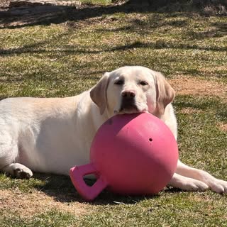 Profile Picture of Richard Payer (@payerrichard) on Instagram