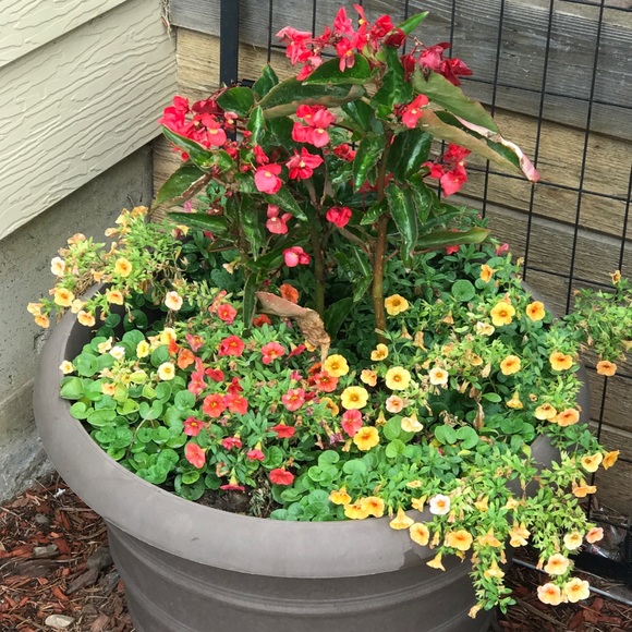 Profile Picture of Penni Howton (@phowton) on Poshmark