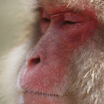 Profile Picture of Ian Watson (@iaw1978) on Flickr