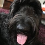 Jacob Brackman - Instagram Profile Picture of Jacob Brackman (@xbrackmasterx) on Instagram