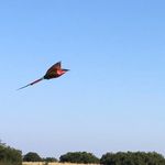 Profile Picture of Francois Pretorius (@francoispretor) on Instagram