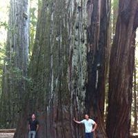 Profile Picture of Matthew Rutten (@matthewrutten14) on Pinterest