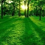 Profile Picture of Jamal Mourad Agha (@jamalmouradagha) on Instagram