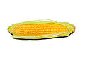 Profile Picture of Corn allergyon Wikipedia
