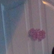 Profile Picture of David Wolfe (@davidwolfe2061) on Youtube