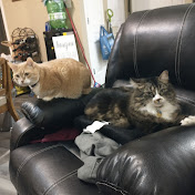 Graham Marsden - Youtube Profile Picture of Graham Marsden (@grahammarsden568) on Youtube