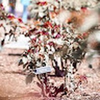 Profile Picture of Stephen Maris (@stephen-maris-4) on Quora