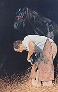 Profile Picture of Farrier - Wikipediaon Wikipedia