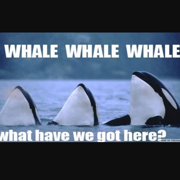 Profile Picture of Ericka Calderon (@ecalderon0083) on Poshmark