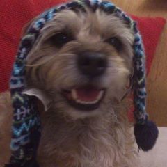 Profile Picture of Richard Bartle (@richardbartle1) on Tiktok