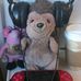 Profile Picture of Herbie Farr (Herbie the hedgehog) (@Herbie-Farr) on Facebook