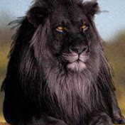 Profile Picture of Sean Harbin (@djdiscowicked1) on Youtube