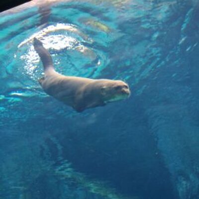 Profile Picture of Tang Poh Seng (@tangpohseng) on Twitter